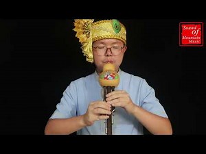 Professional Level Chinese Yunnan Free Reed Gourd & Bamboo Flute Hulusi Instrument 葫芦丝
