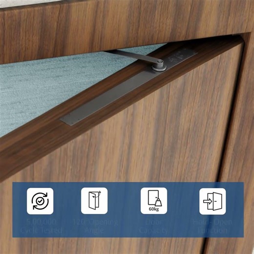 Concealed Door Closer - Enox