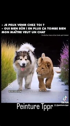 rénov complète d'une cuisine #parquet #entreprise #renovation #travaux #déco #peinture #sol #tppr