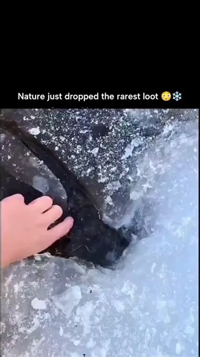 мяғαcт19 on Instagram: "The post features a 10-second video of a hand delicately extracting a long, translucent icicle resembling a sword from a frozen stream edge, captivating viewers with nature's precise formation and amassing 29,000 likes and 900,000 views within 24 hours. This flexible ice strand forms when thin surface ice over flowing water stretches without breaking, a property explained by research in Science Advances (2021) showing ice nanowires bend like plastic due to mobile dislocat