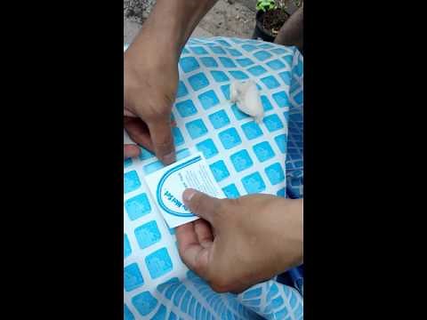 Cómo parchar piscina Intex