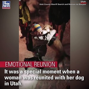 239K views · 1.9K reactions | EMOTIONAL REUNION: A dog and its owner were overjoyed to see each other after members of Utah County Sheriff Search and Rescue dug through the snow to rescue the pooch. | Fox News | Facebook