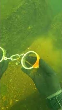 #scubadiving #treasure #underwater