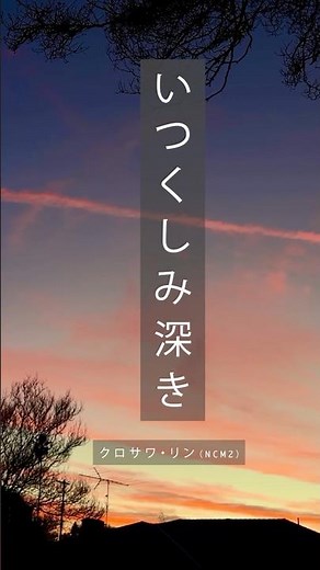 【賛美歌】いつくしみ深き | クロサワ・リン (NCM2) #ncm2 #聖歌 #賛美歌