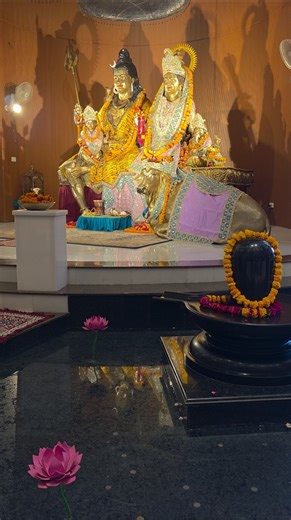Shiv ji song bhajan Shiv Shankar | शिव तांडव 🙏🙏🌹🌷☘️💕 #harharmahadev #shivshankar #shivshak