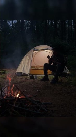 Forest Sounds For Sleep and campfire #camping #campfire #forestsounds #campingrain