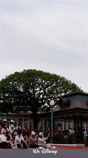 WeDisney｜東京ディズニーランド パレード “ うさたま大脱走！ ” その3｜Disney's Easter Vol.3｜2022.06.10｜SONY VLOGCAM ZV-1｜#shorts