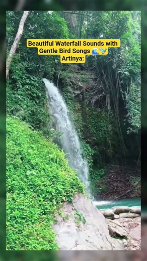 Calming Waterfall Sounds with Soft Birds Singing in Nature 🌿🌊🐦 #NatureSounds #Waterfall #BirdSounds