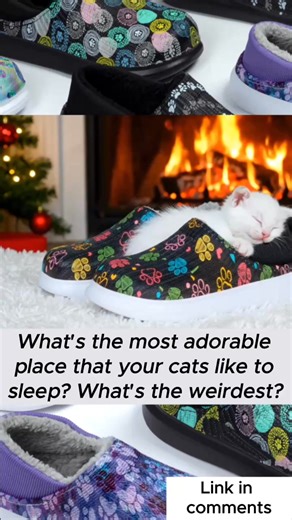 My cat has a shoe obsession...no joke! #Cats #Slippers | The Animal Rescue Site by GreaterGood