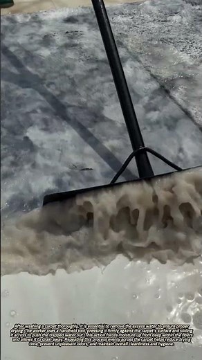 Removing Excess Water from a Carpet Using a Handheld Tool