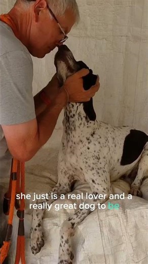 The Perfect Dog 🐾 Was Almost Forgotten