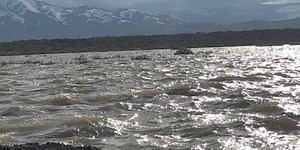 Residents test water in Swan Lake