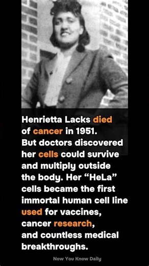 Henrietta Lacks’ Cells Saved Millions of Lives