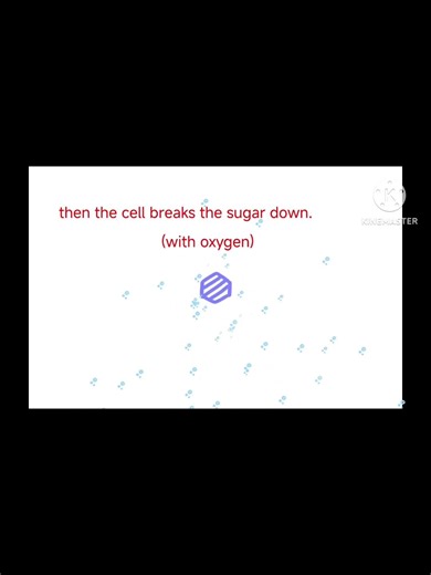 1 minute explanations: ATP creation