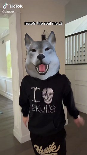 🐺🐺🐺🐺🐺 arff arf