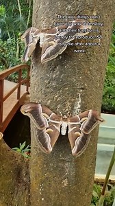 You Won’t Believe These Mind-Blowing Wonders of Nature