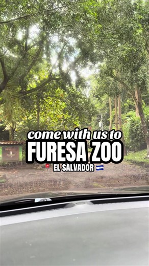 Furesa Zoo El Salvador – Visitor Vlog & What to Expect