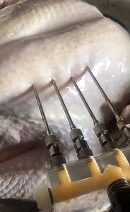 579K views · 374 reactions | We call this Super injecting  in our turkeys .... we do this about 5 days out and let them sit and marinate in this Cajun butter sauce ... don’t wait till the last min to buy one 類 these are not the small boys from the store at all 路‍♂️ Place your order today at catering@theturkeyleghut.com | The Turkey Leg Hut | Facebook