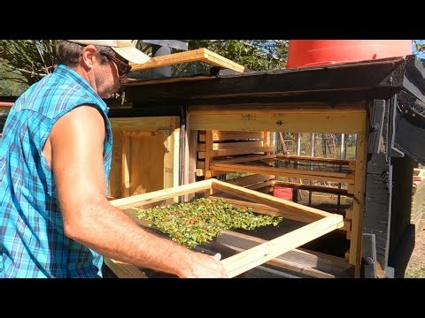 How Homemade Solar Dehydrator Works