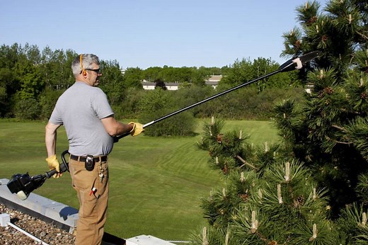 Remington RM2599 Maverick Gas Pole Saw Review