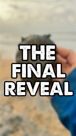 2.3K views · 72 reactions | Must watch! #epic #finds #fossils #onlineshopping #gifts #sale #fossilhunting #somerset #dorset #charmouth #geology #historical #AncientHistory #AncientDiscoveries #art #MustWatch | UK Fossils | Facebook