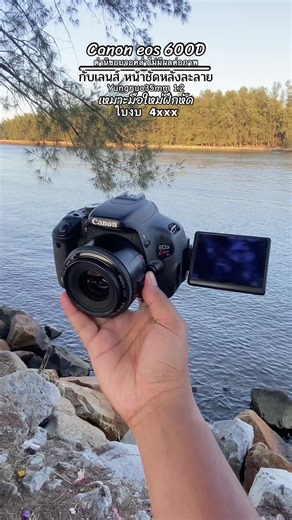 Explore the Canon 600D for Beginner Photography