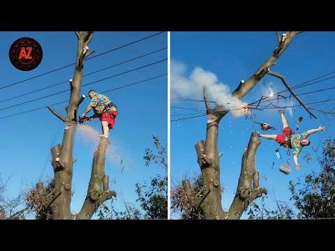 Idiots With Chainsaws: Tree Cutting Fails | Extreme Dangerous Logging Truck Fails #1