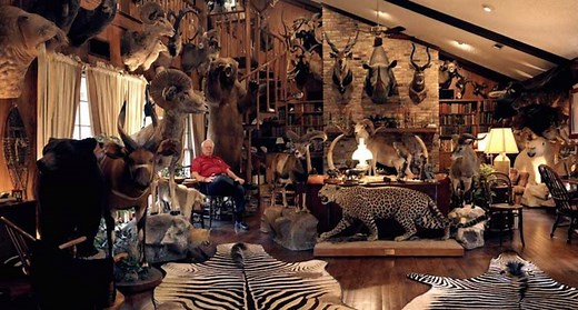These 11 Hunters' Trophy Rooms Are Completely Unbelievable