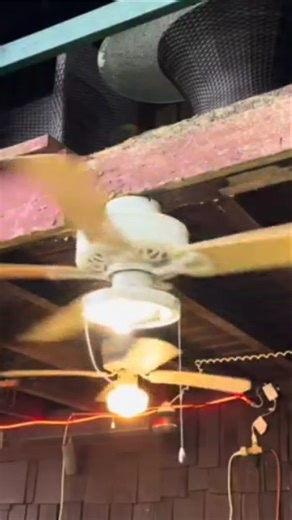 wobbly ceiling fan compilation 4 #shorts #ceilingfan #wobbly