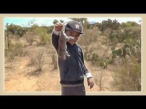 Bello campo para ratitas & a la cocina de compradres!