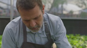 Free Plant Videos: 4K & HD | No Watermark | Download Now