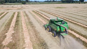 Wooden Shoe Tulip Farm on Reels