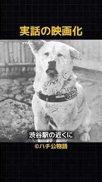 ​「ハチ公」世界で一番圧倒的な忠実さを持つ犬の物語