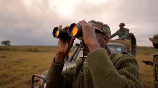 471K views · 237 reactions | WWF is working across the world to protect elephants and other species from wildlife crime. Support our work and donate today. | World Wildlife Fund | Facebook