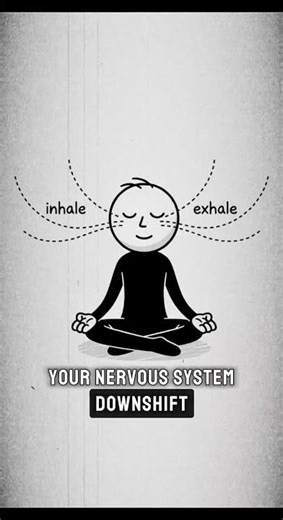 Your Body Never Learned How to Rest 😴