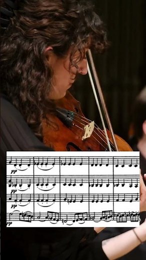 Beethoven's first symphony as a string player🎻