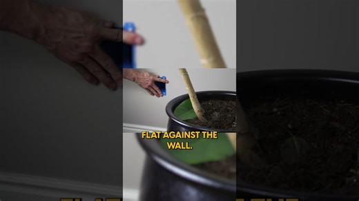 Building a hidden wall safe from an electrical box