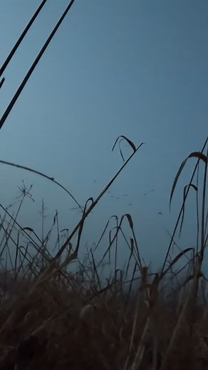 Yall be careful out there 😅 - - - - - #centralflyway #duckhuntingseason #waterfowling #mallardmonday #publiclandhunting | Okie Decoys