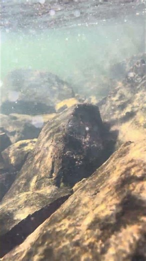 Fantasy Underwater River World 🌊 | Relaxing Nature Therapy #Calm #Underwater #shorts