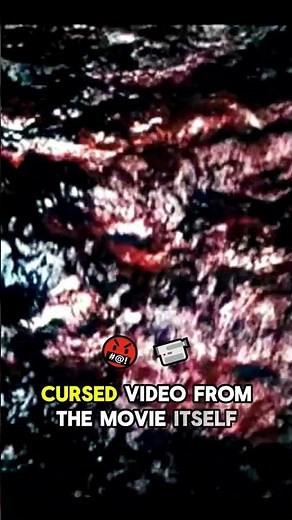 The Ring DVD Had A Cursed Easter Egg