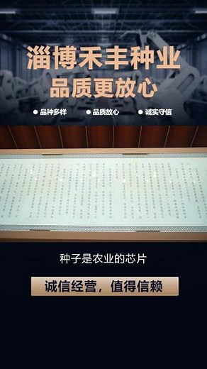 稳产良种现状 ，携手共创绿色未来，淄博禾丰种业科技与您同行产品细节呈现，为您带来非凡体验。让我们共同探索更多可能，欢迎咨询合作。 #抗倒三农 #旱地种业 #禾丰种业冬小麦 #禾丰种业良种 #淄博齐民种