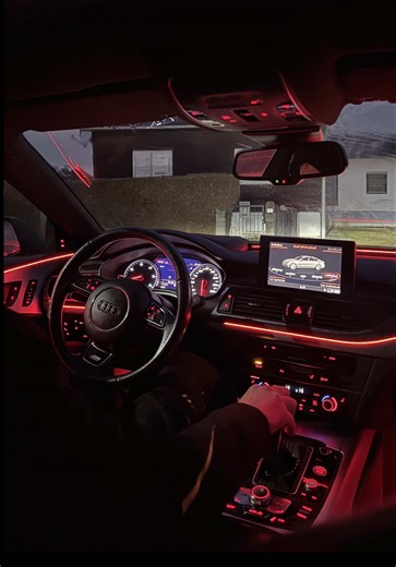 Ganga i Rera: Naša Najdraža Životinja