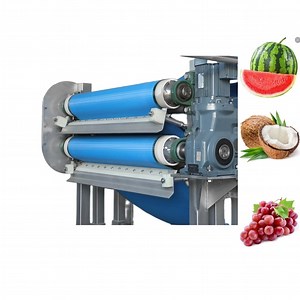 [Hot Item] High Efficiency Coconut Milk Processing Machine Juice Extractor