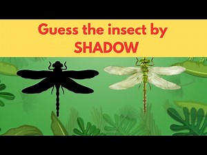Guess the Insect by Shadow | Fun Insect Quiz for Kids | Educational Game for Children & Teachers