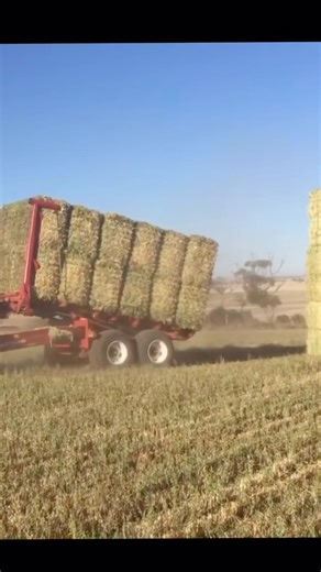 Load fast, stack tight, and haul more with the Morris Bale Titan. Built for heavy bales and long days in the field. | Morris Equipment