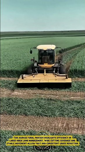 Large Scale Grass Cutting Using a Self-Propelled Mower – Good Tools and Machinery in Daily Work