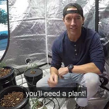 Build a Basic Hydroponic System in Less Than 5 Minutes