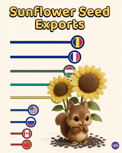 Great Battle for Sunflower Seed Exports. | VGraphs