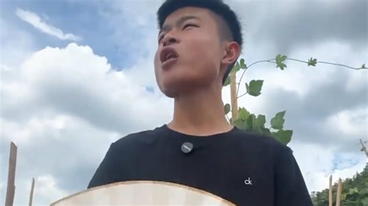 《河 南 槟 榔 王》