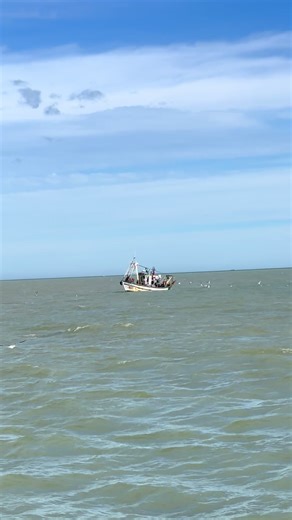 #rincone #jebha_الجبهة #lhosima #bninsar #البحارة_⚓️🇲🇦